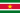 Suriname W
