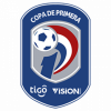 巴拉圭专业联赛