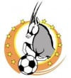 Namibia Premier League