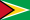 teams/guyana/logos/guyana-1525068702.png